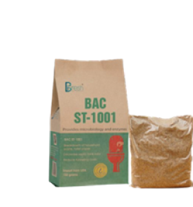 Men vi sinh BAC ST-1001 xử lý hầm tự hoại