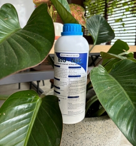 Men vi sinh BIO-N8C giải pháp nông nghiệp