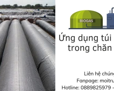 ỨNG DỤNG TÚI BIOGAS TRONG CHĂN NUÔI