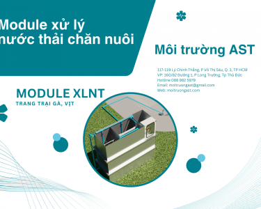 Module xử lý nước thải chăn nuôi trang trại gà vịt