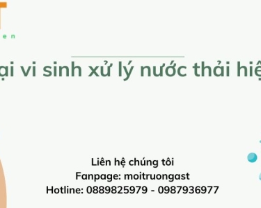 CÁC LOẠI VI SINH XỬ LÝ NƯỚC THẢI HIỆN NAY