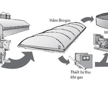 Lợi ích khí trong hầm biogas bạn nên biết