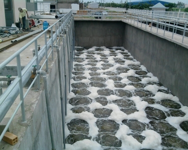 Các bước xử lý nước thải chăn nuôi hiệu quả là gì?