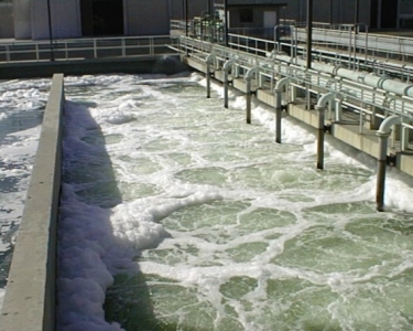 Xây dựng hệ thống xử lý nước thải trang trại hiện đại