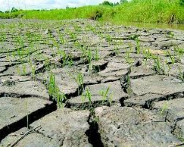 Biến Đổi Khí Hậu Ở Việt Nam