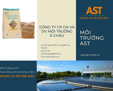 Các dịch vụ của Môi trường AST