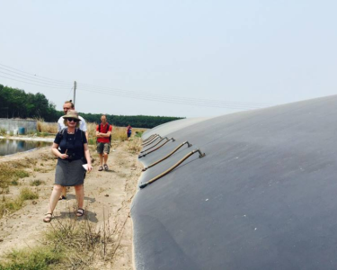 Lợi ích xử lý nước thải chăn nuôi heo sau Biogas