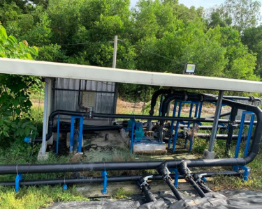 Các công nghệ xử lý nước thải chăn nuôi heo hiện nay