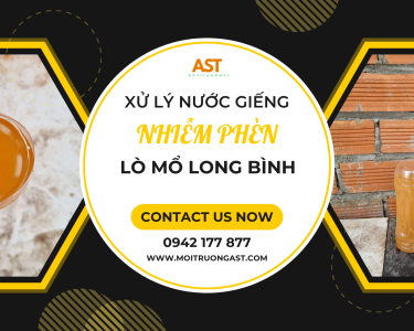Xử lý nước nhiễm phèn cho lò giết mô gia cầm tập trung tại Long Bình