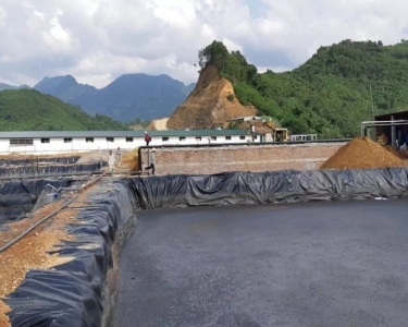 Quy định xử lý nước thải chăn nuôi heo