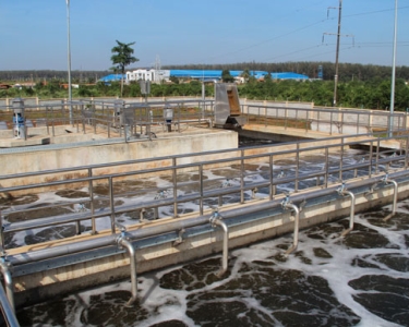 Hệ thống xử lý nước thải chăn nuôi bò chất lượng cao