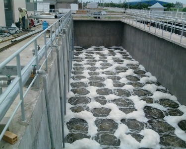 Lắp đặt hệ thống xử lý nước thải chăn nuôi gà uy tín số 1