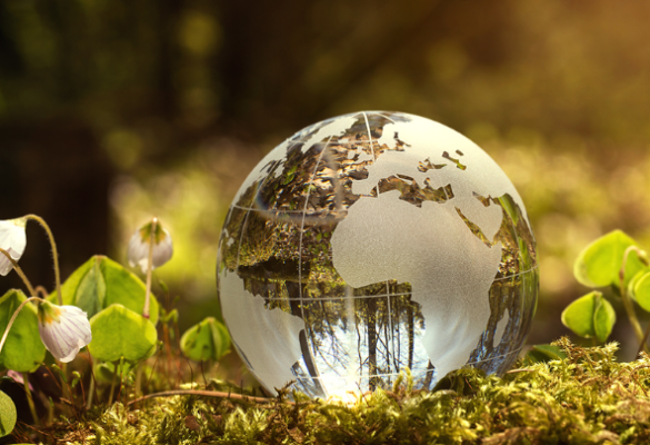 Đăng ký môi trường