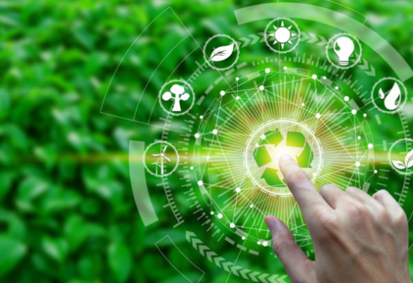 Hồ sơ môi trường khác